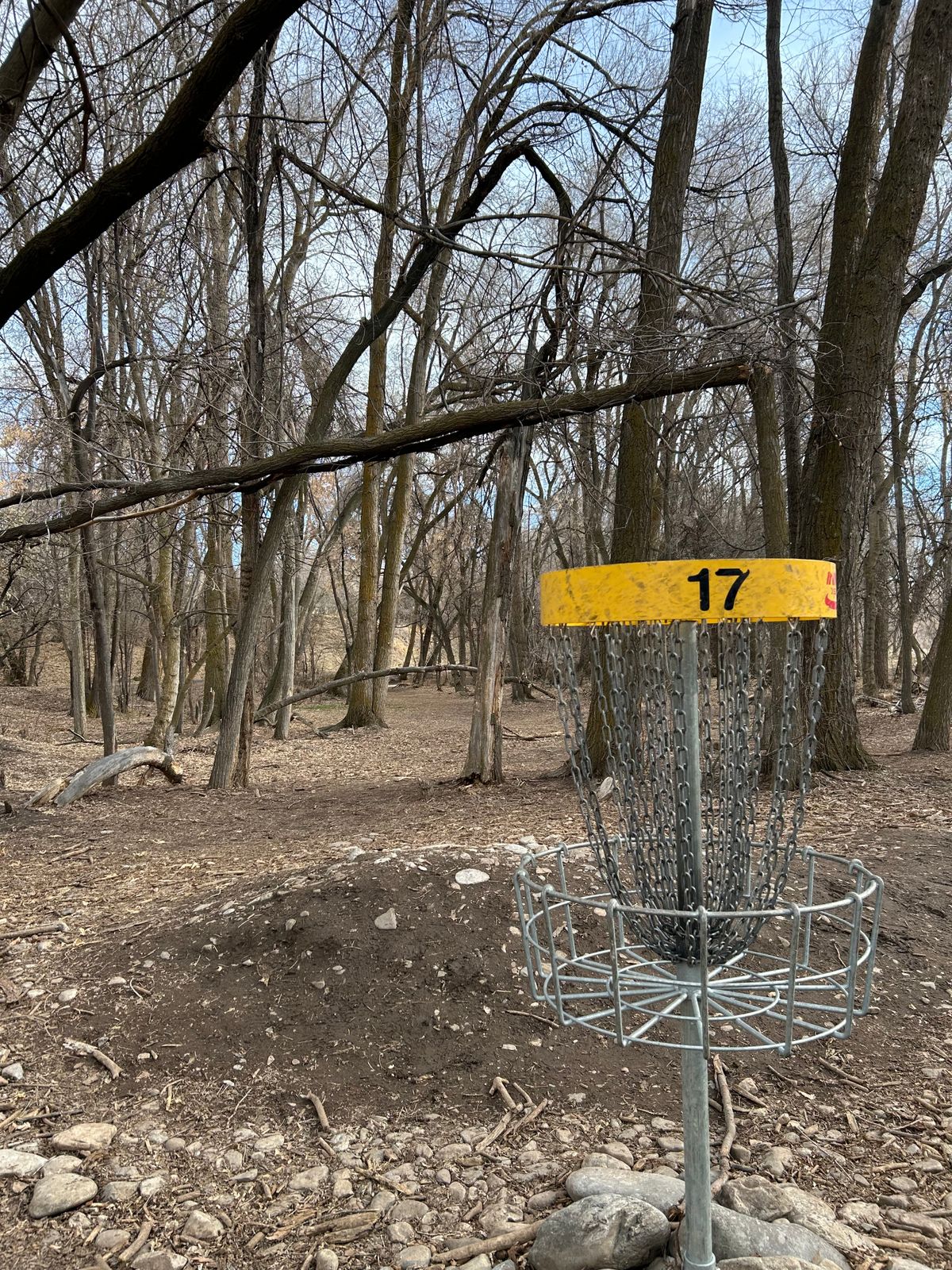 Hole #17 looking back at the tee-pad.