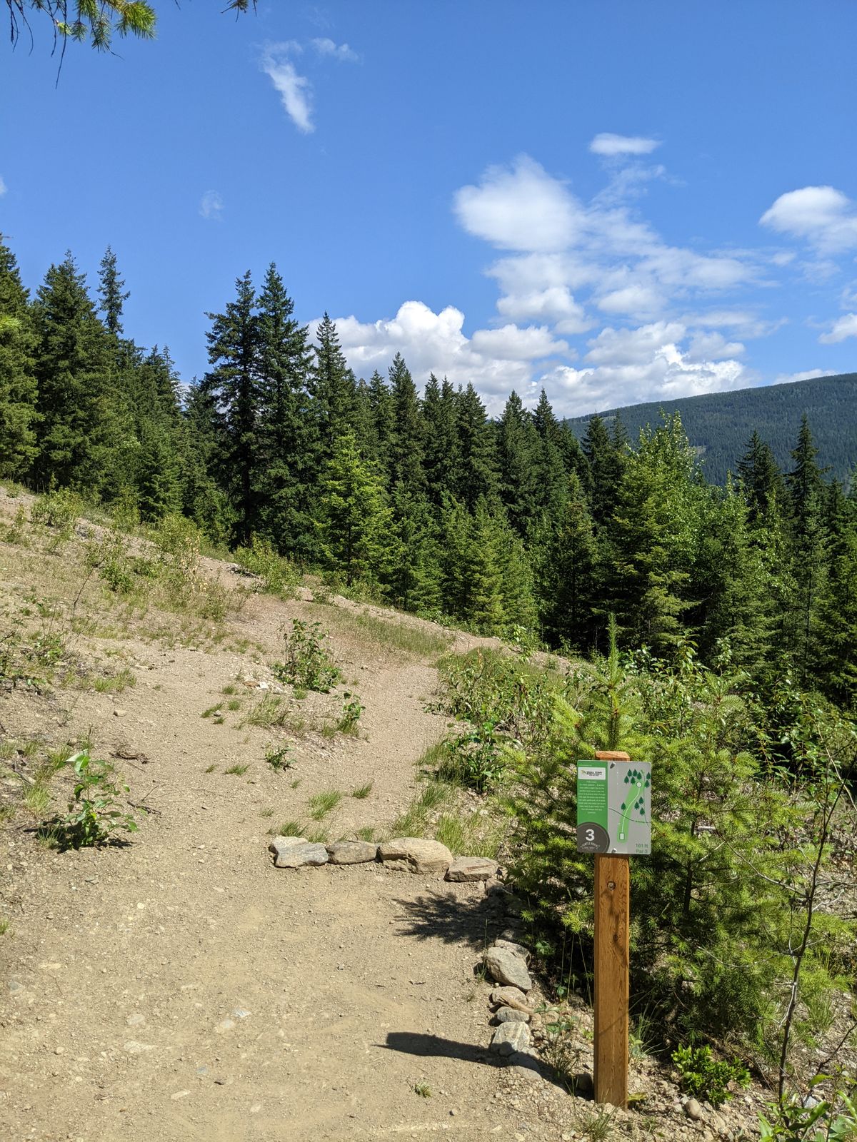 3 tee box