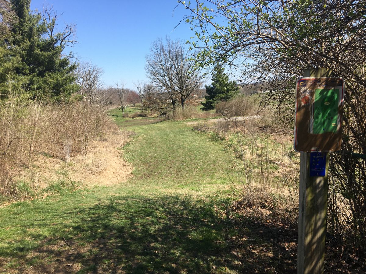 Hole 15