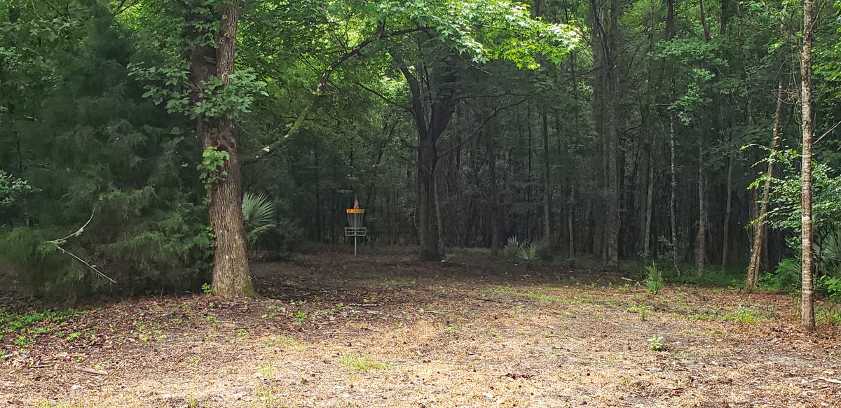 Hole 17 green