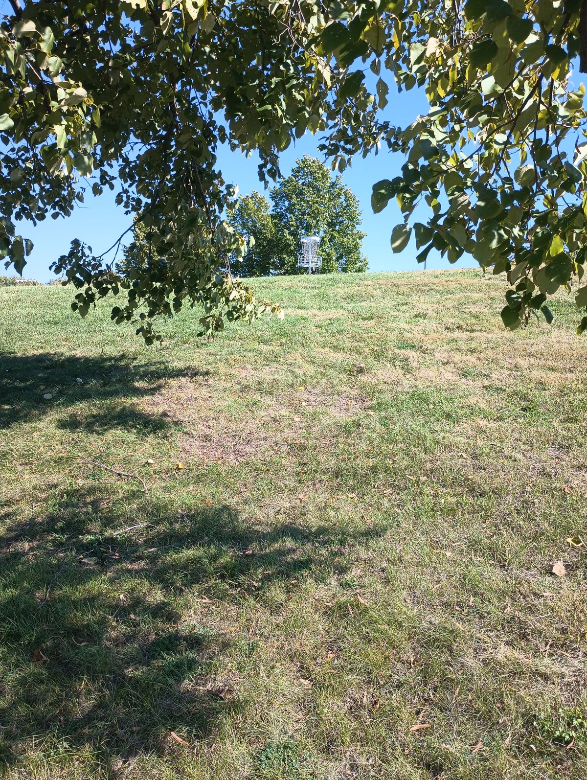 Looking up at the basket on hole one