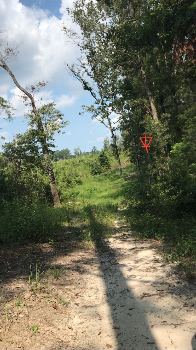 Hole 12: 300’ straight, then go back right 50’