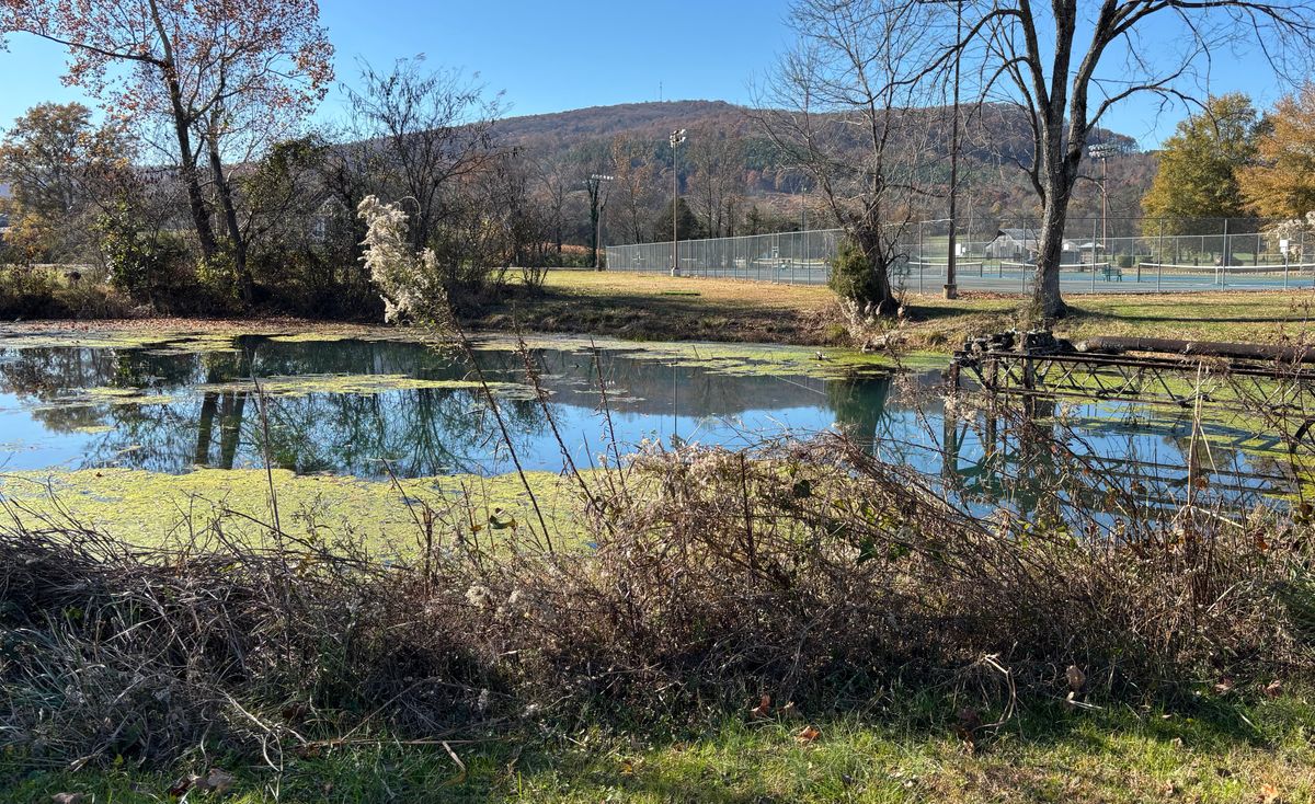 Hole #2 Mid-Fairway to Tee
