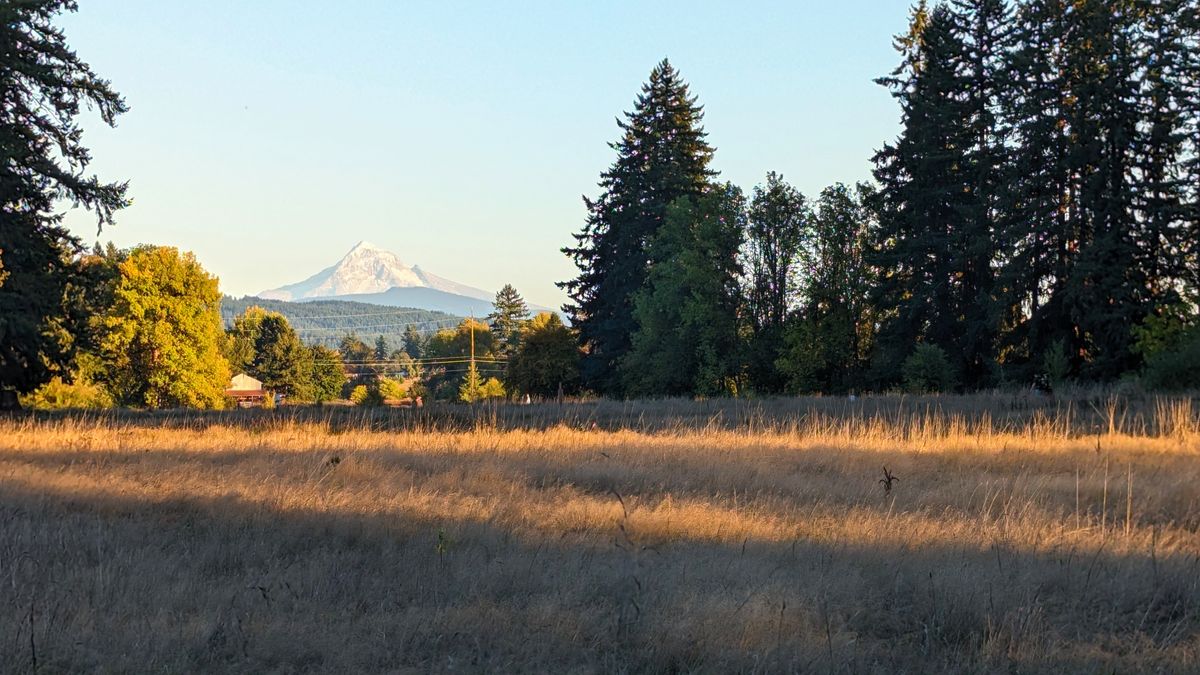Mt Hood from Hole 14
