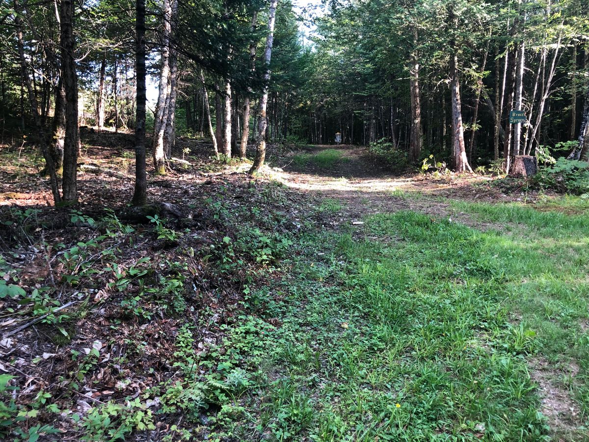 Hole #17 Fairway at dogleg