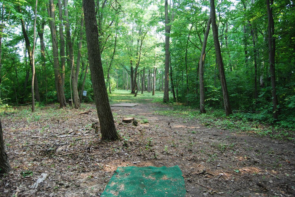 Hole 12 Long tee pad position