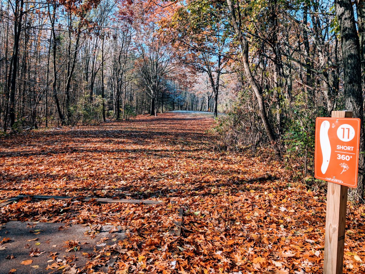 Hole 11 short tee
