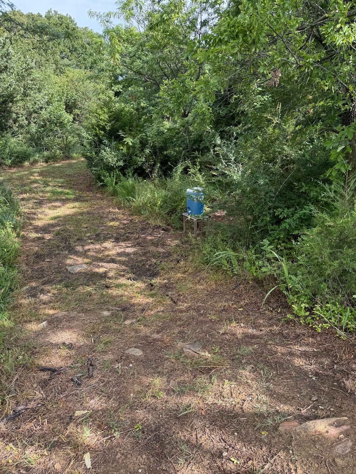 Water on the trail