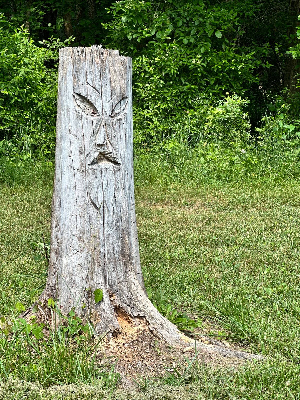 Hole 14’s guardian