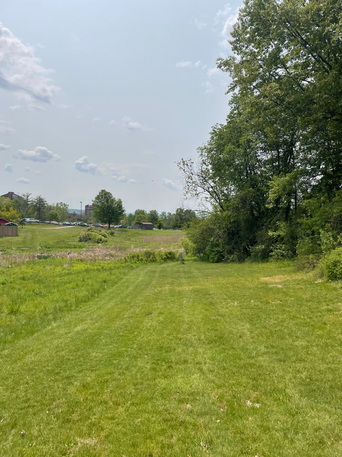 Hole 7, fairway