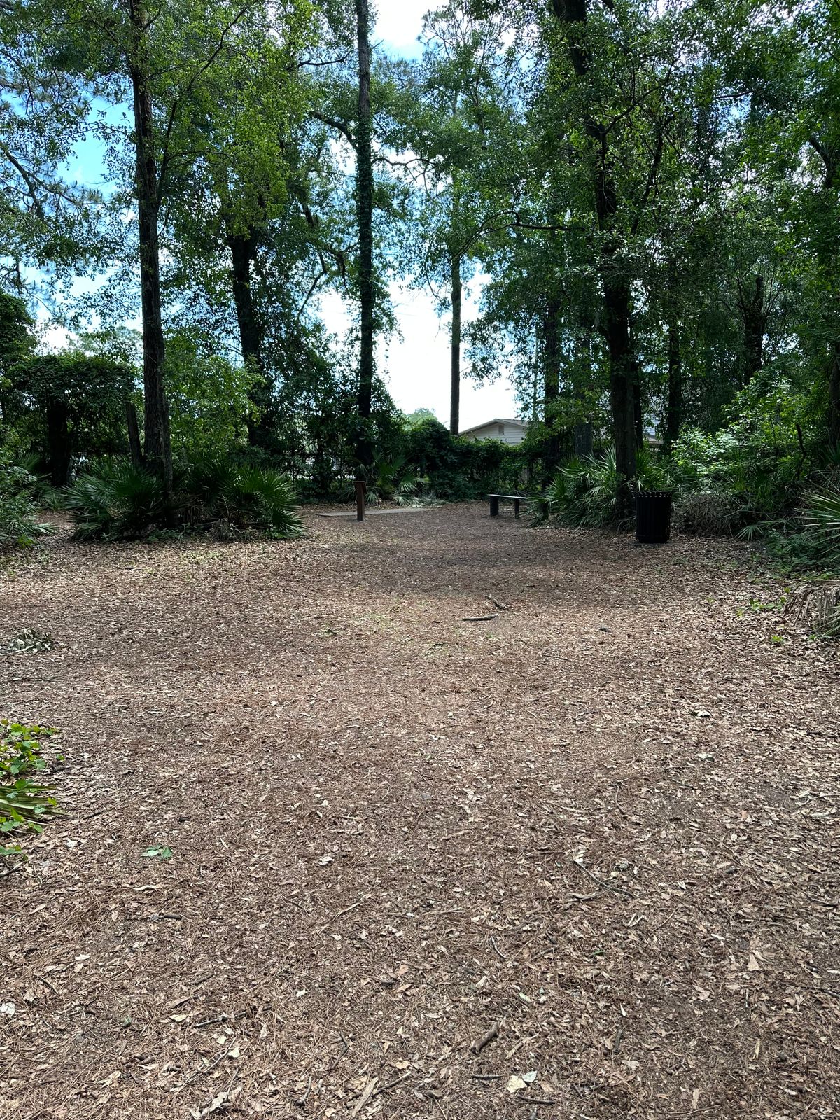 Walking towards hole 5 tee pads