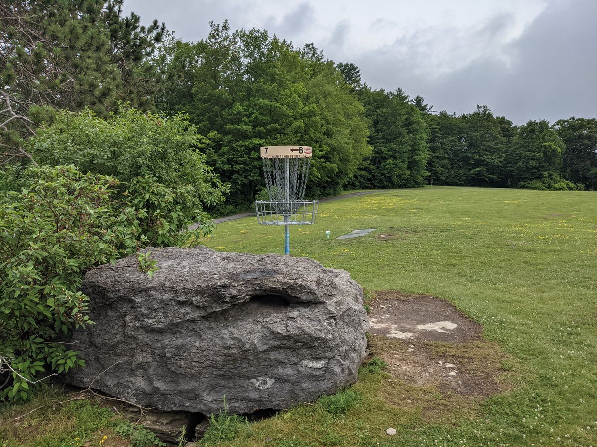 Basket 7, Tee 1 past it
