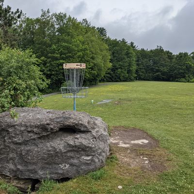 Basket 7, Tee 1 past it