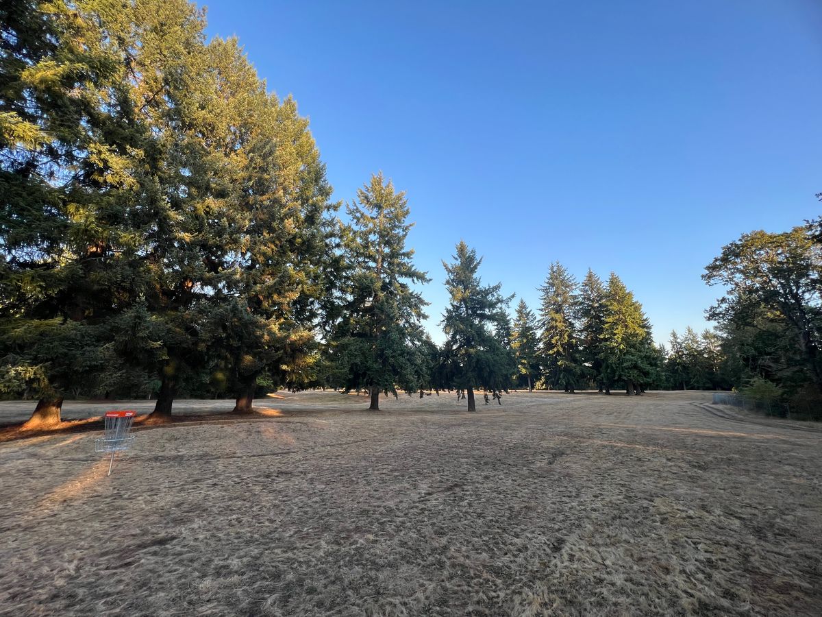 Hole 8 Fairway