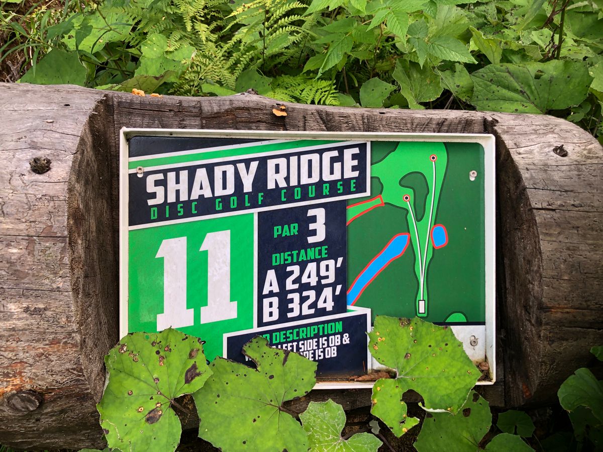 11 tee sign