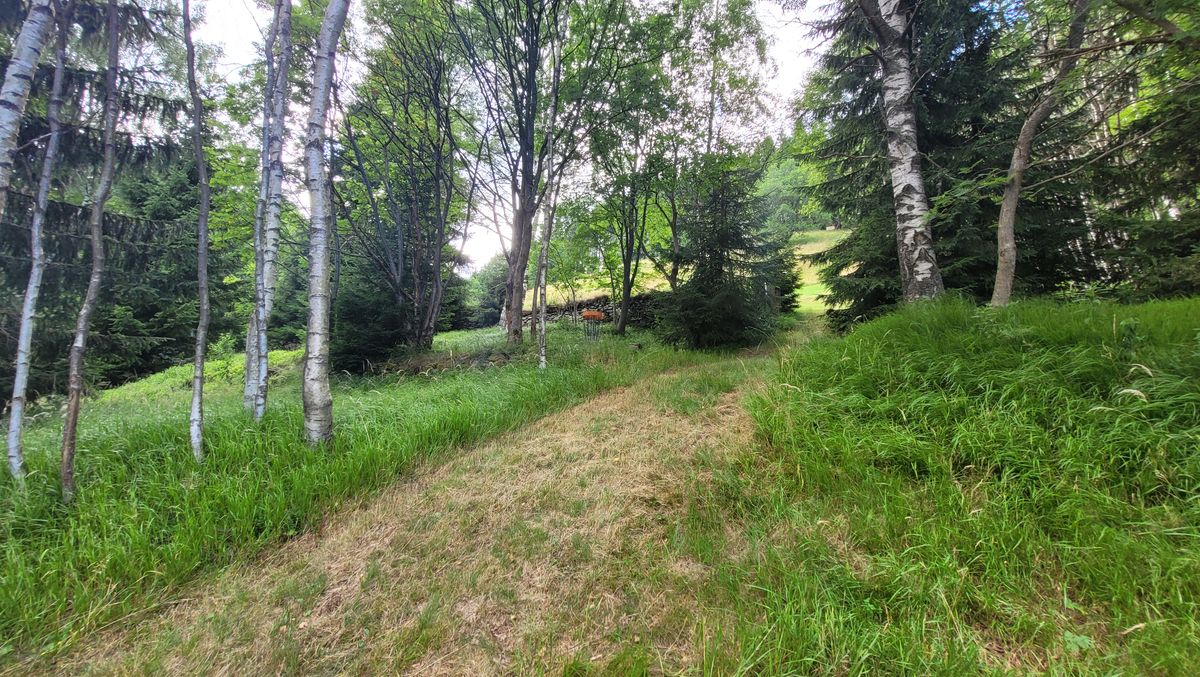 Hole 7