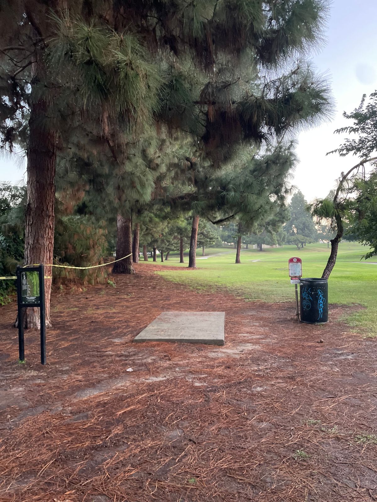 Hole 5