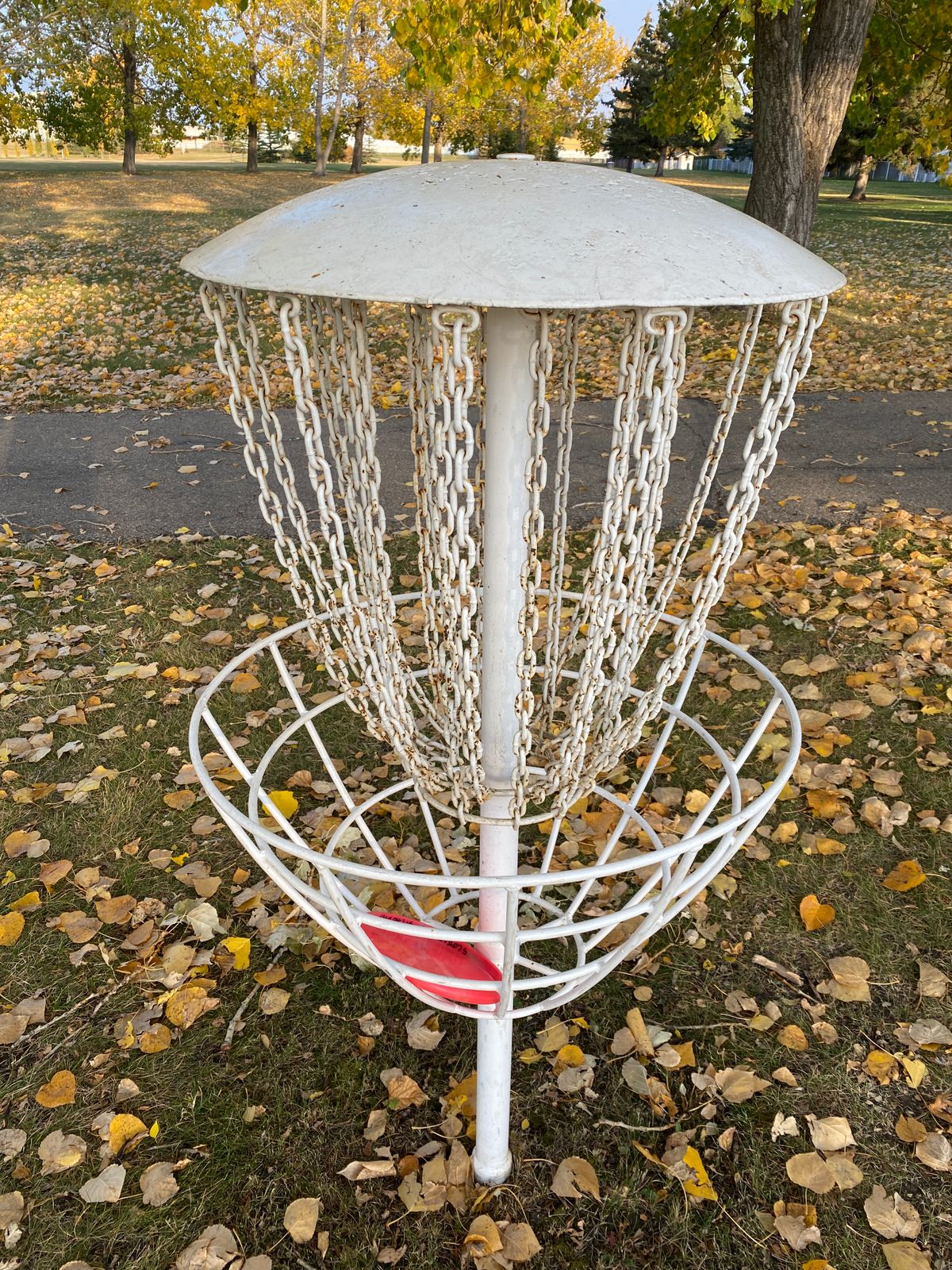 Basket Close Up