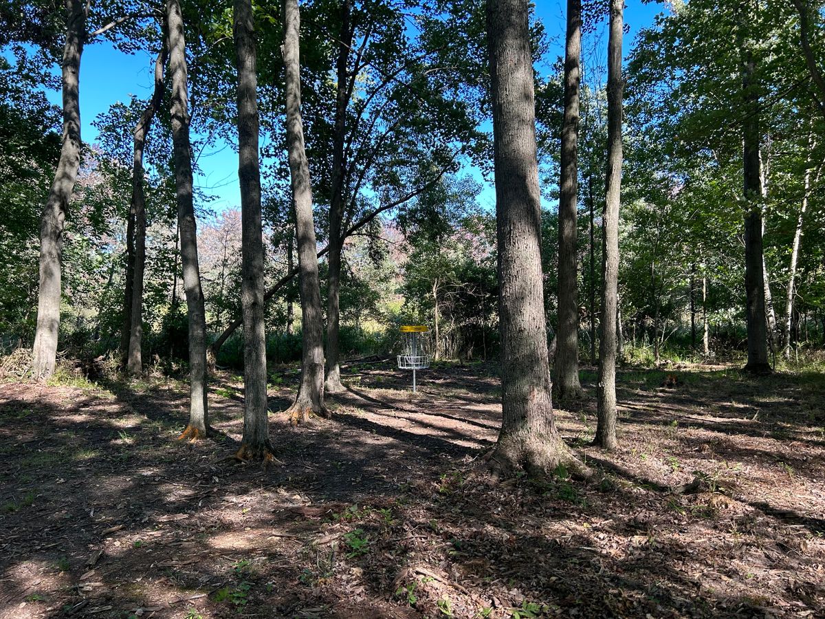 Hole 4