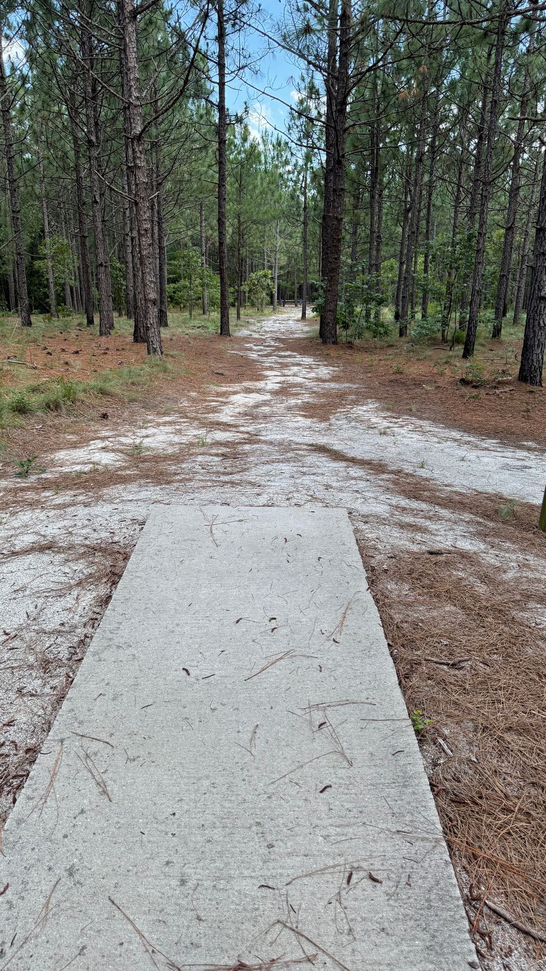 Hole 14 Tee Pad
