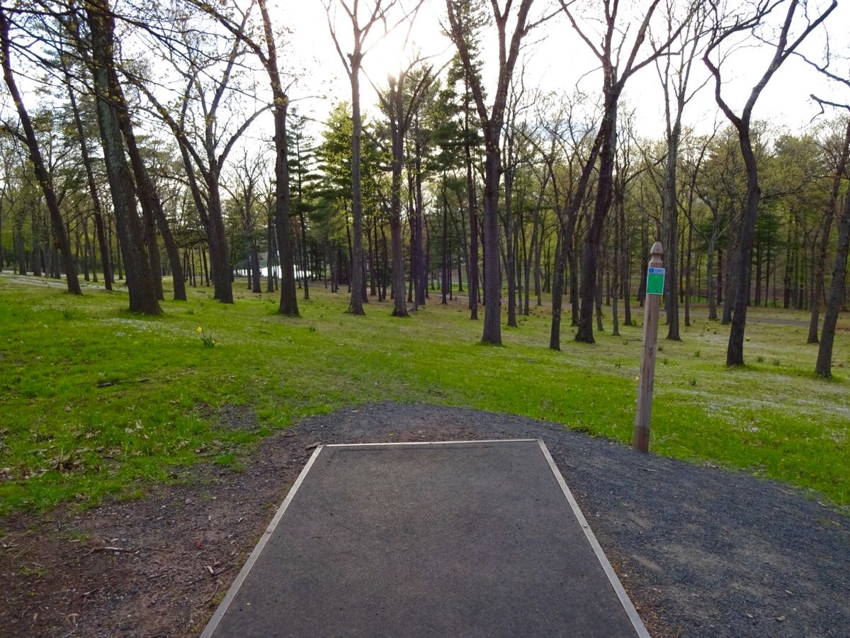 Hole 6A/B tee
