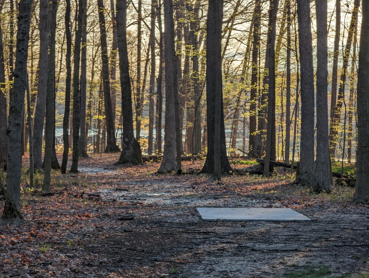 Hole 10 fairway short pad