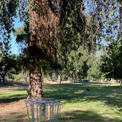Needing tee pads and maps, but beautiful park.