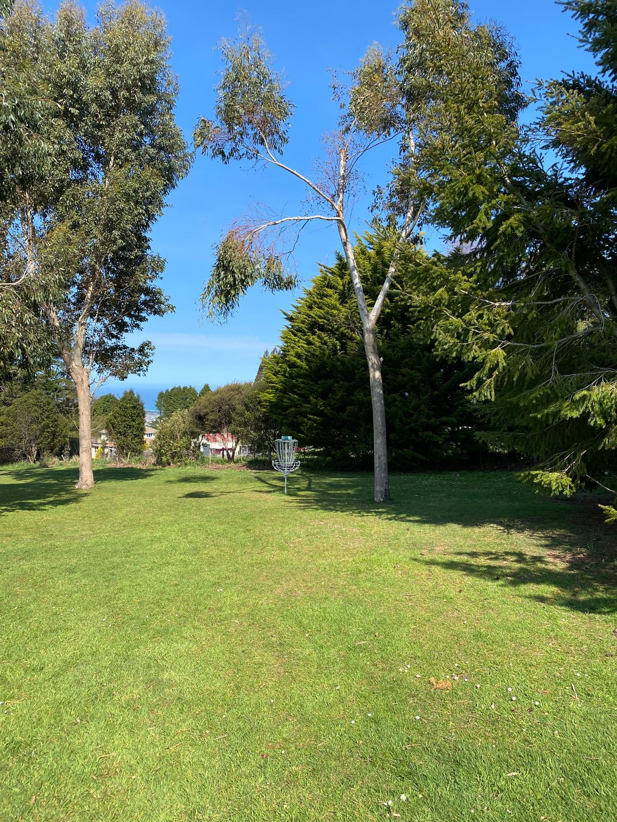 "Super Shot!" Named by Emily aged 9.
A straight shot at the basket - try to stay out of the trees on the right