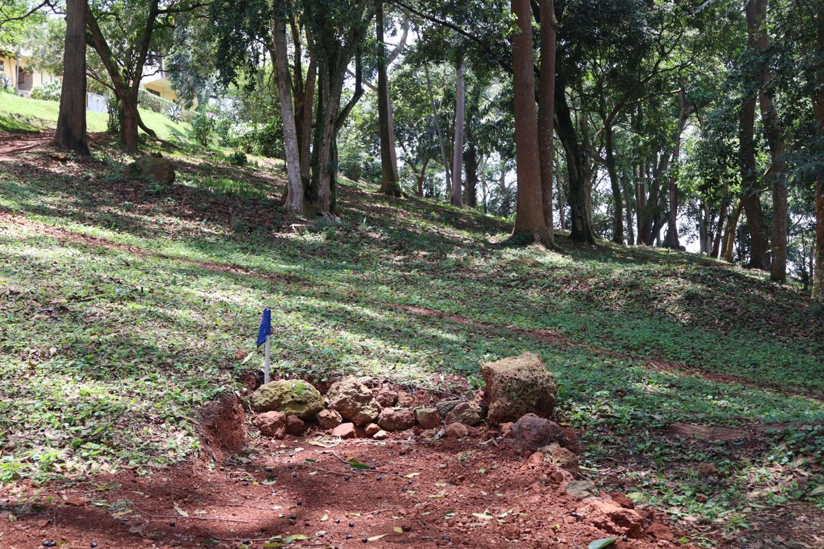 Hole 6 long tee