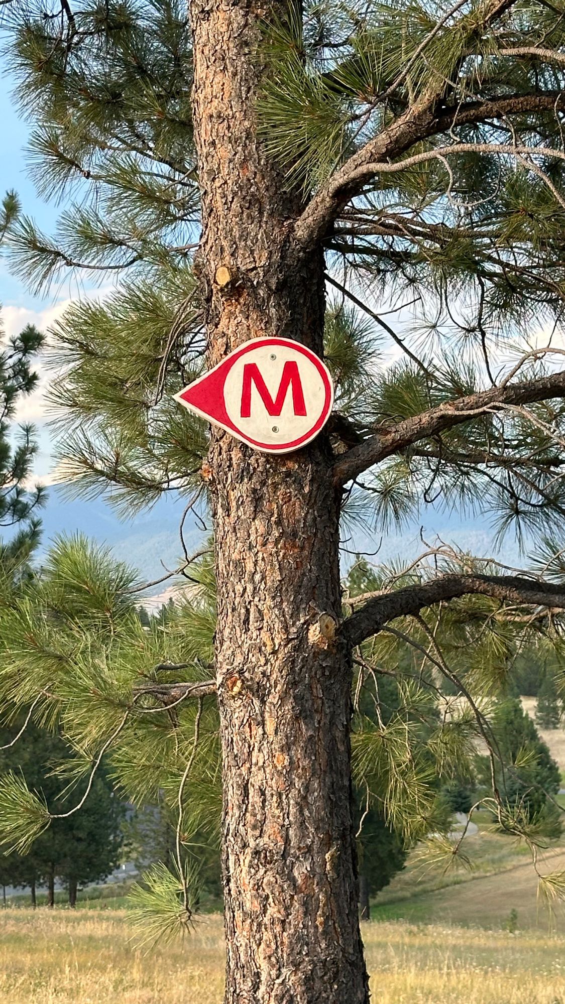 Pro/Tour Type Mando Signs (hand made and painted) for all Mandos on course