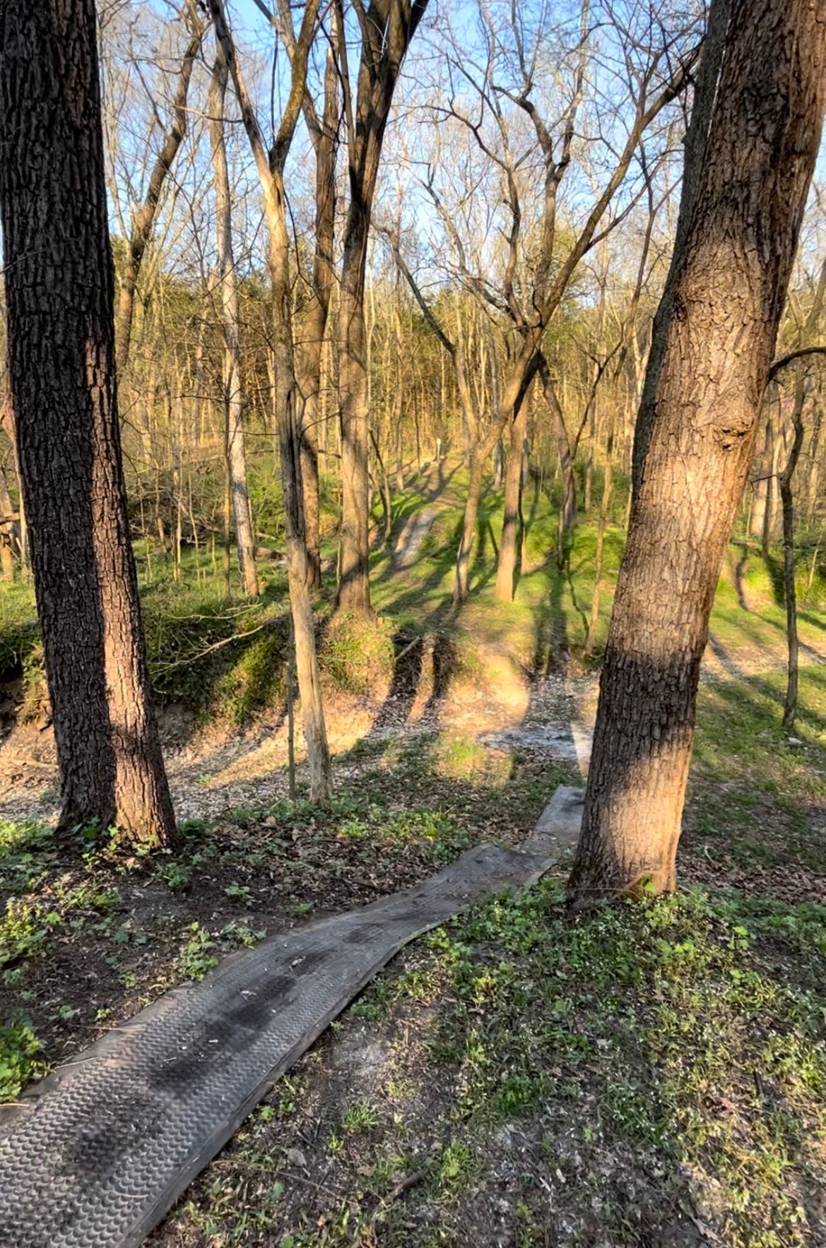 Hole 11 pin looking back at 11 tee