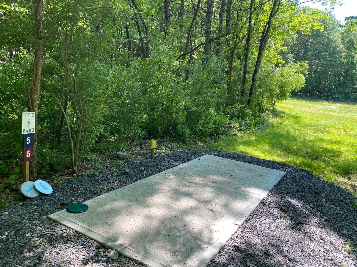 Tee box at 5