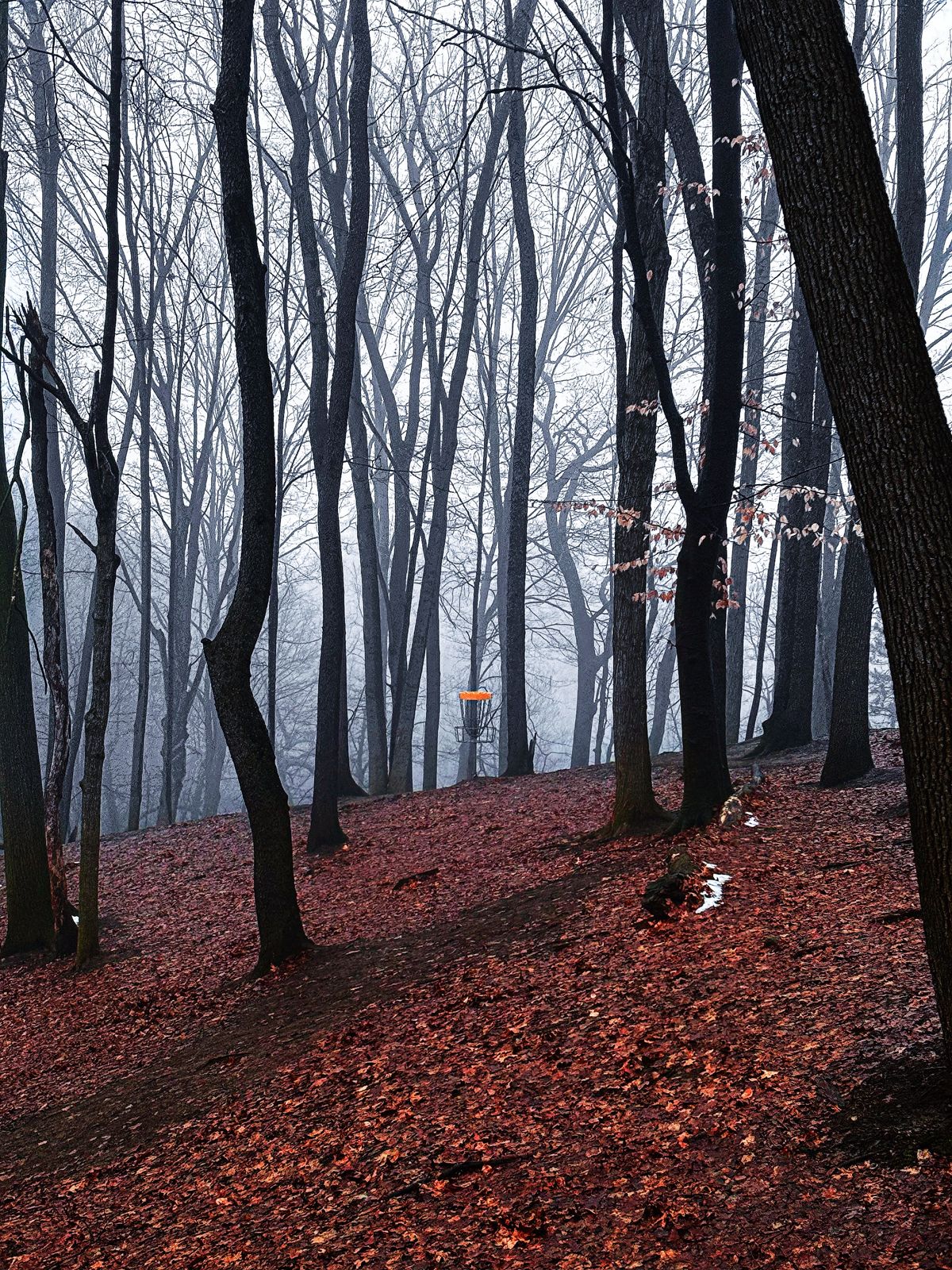 Hole 12 - The Hill of Death