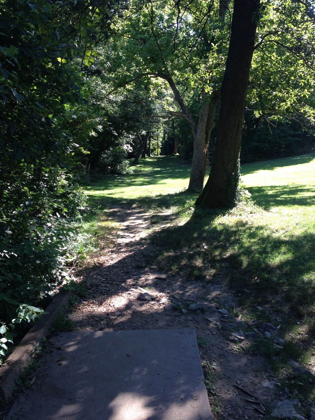 Hole 7