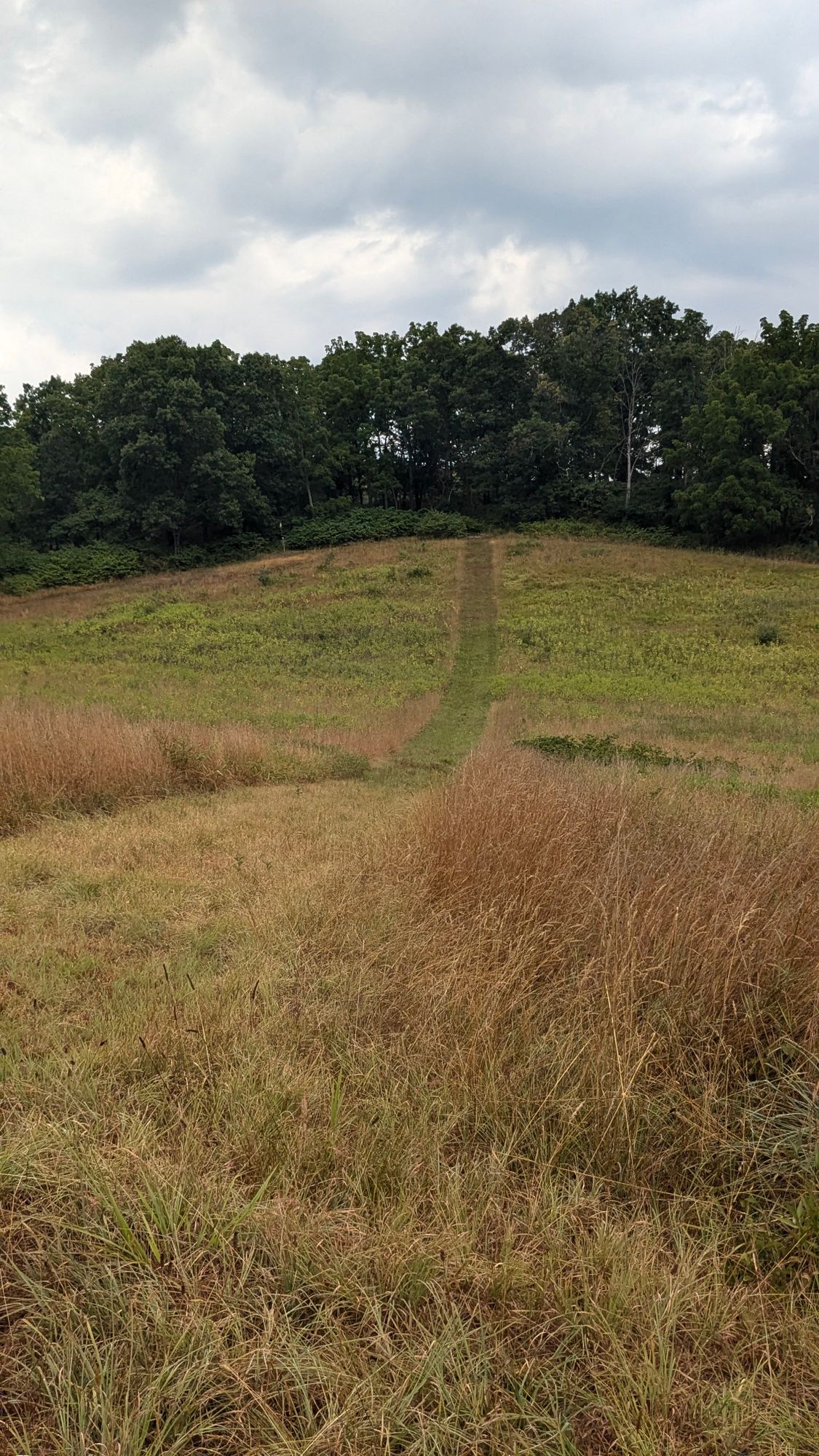 Hole 13