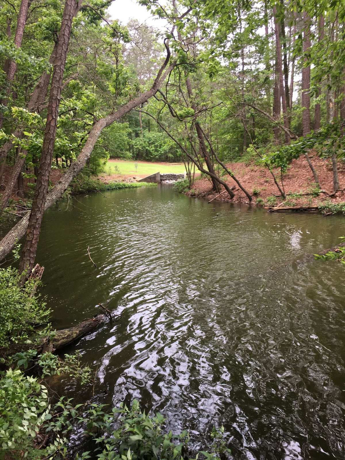 The water obstacle is prevalent on hole 4