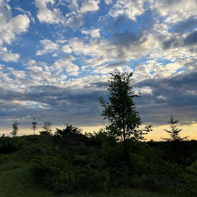 Can you see the basket in the distance? 😍