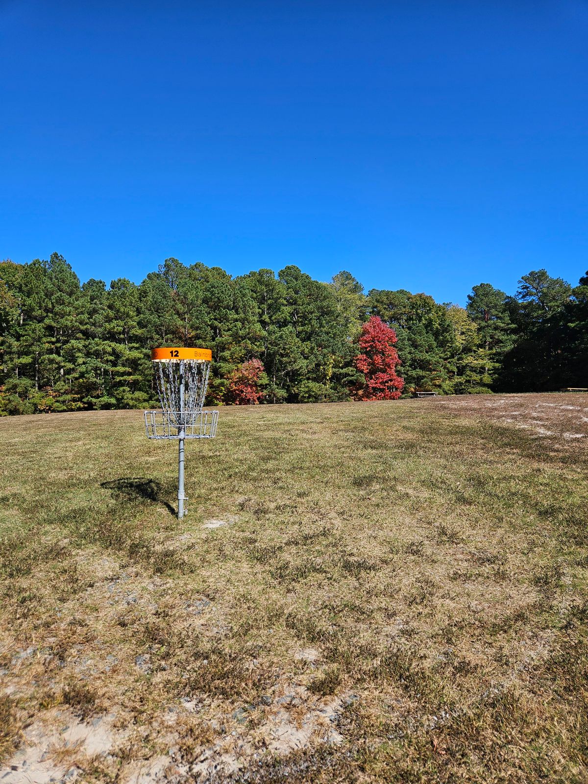 Hole 12's green