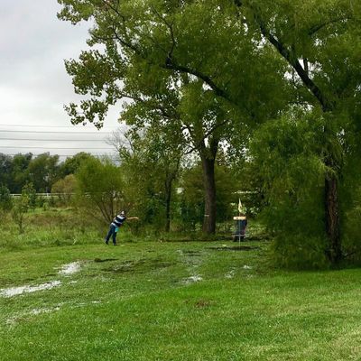 Hole 8, watch out when it rains. Can definitely be swampy on the green.