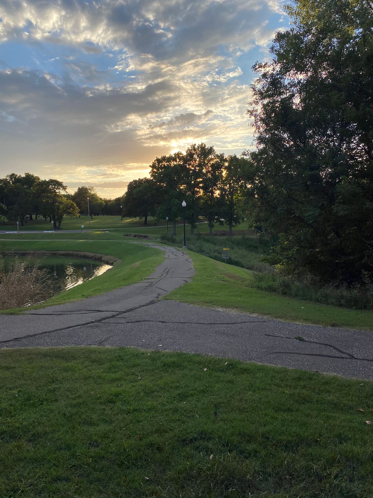 Have to walk on a path throw the trees from basket on 9 to reach tee of on 10