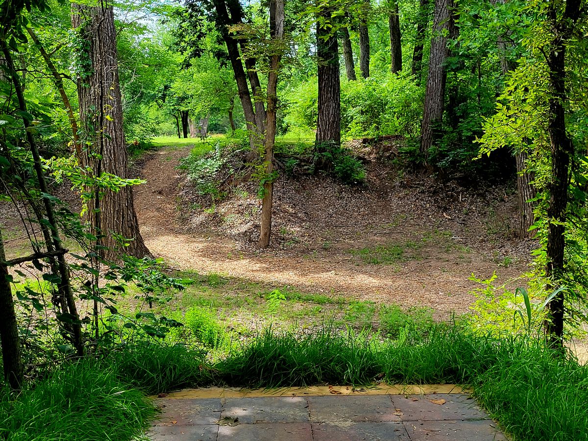 Hole 5: "Knockwood" teepad
