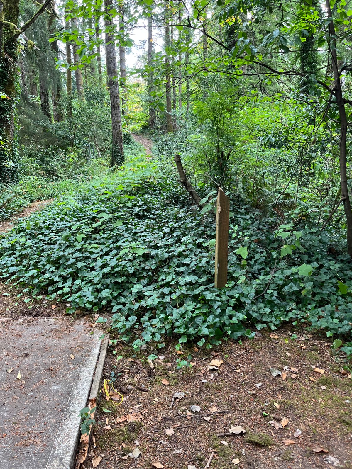 Hole 5