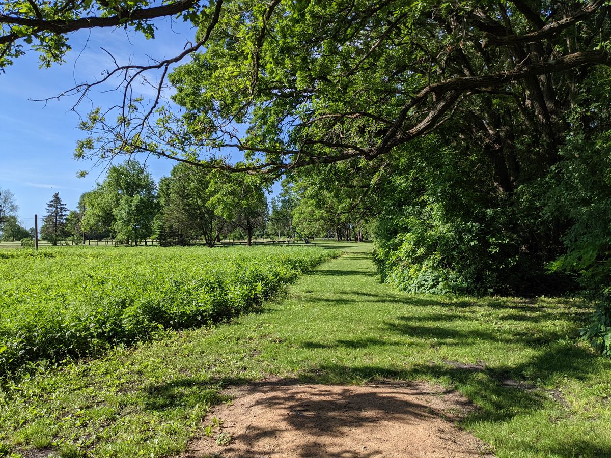 Hole 4 Long Tee