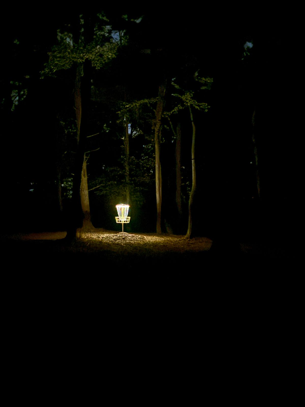 Camelot Disc Golf - what’s your quest?