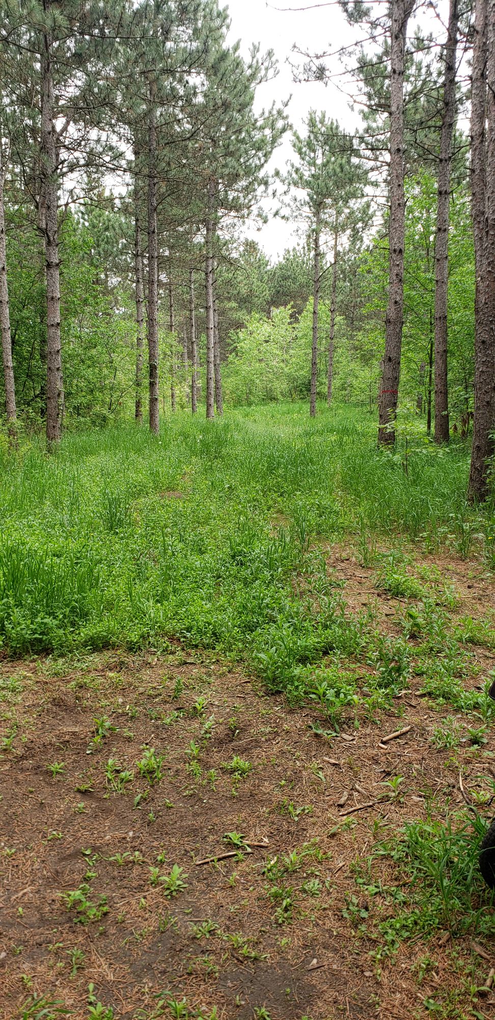hole 4