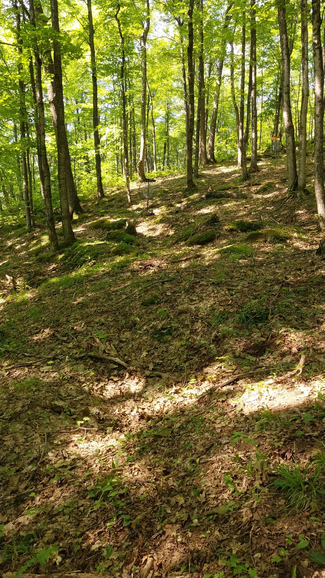 Hole 10 short