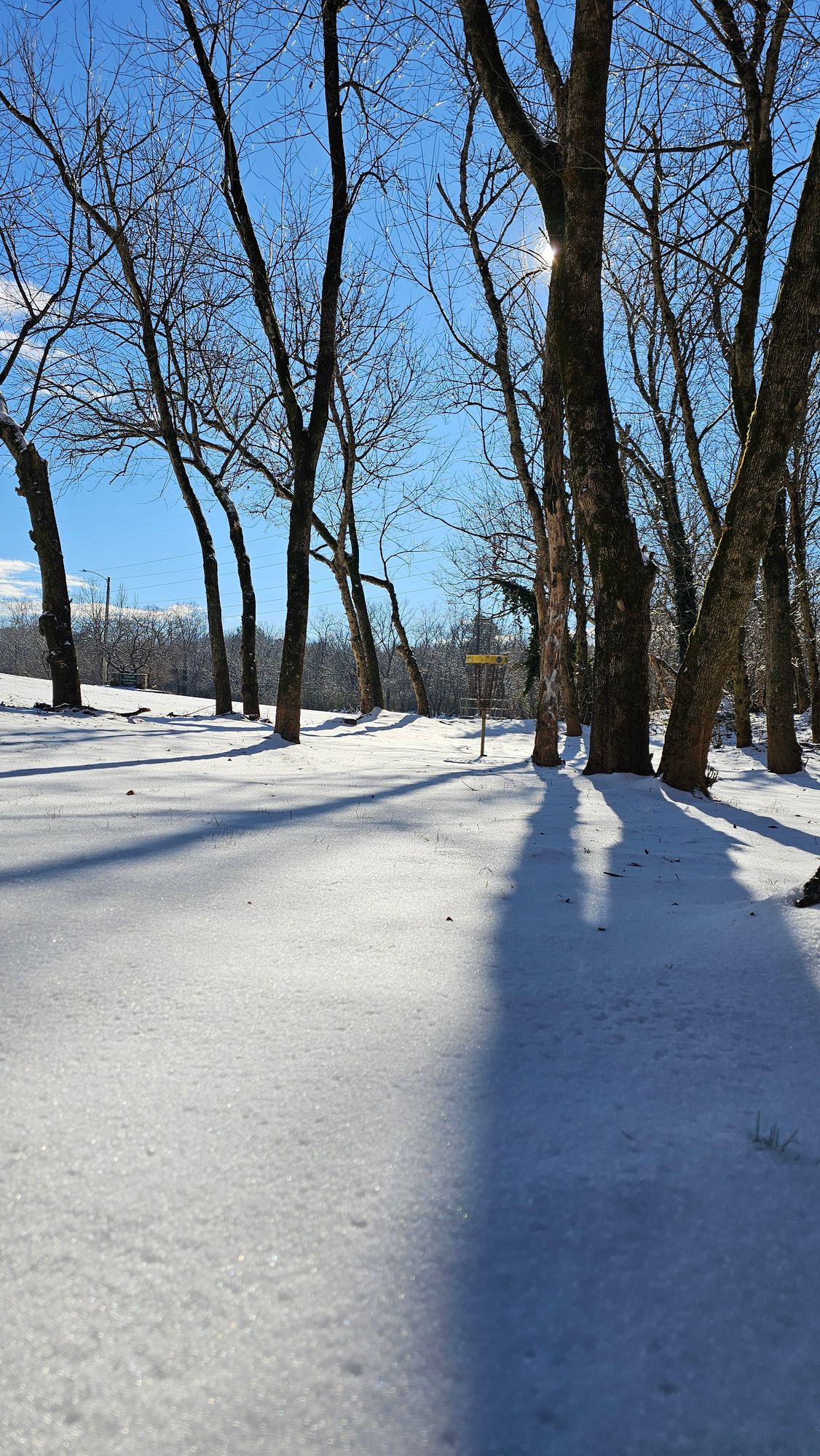 Hole 11 Snow greenwayhole 11 s