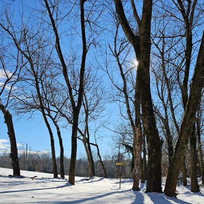 Hole 11 Snow greenwayhole 11 s