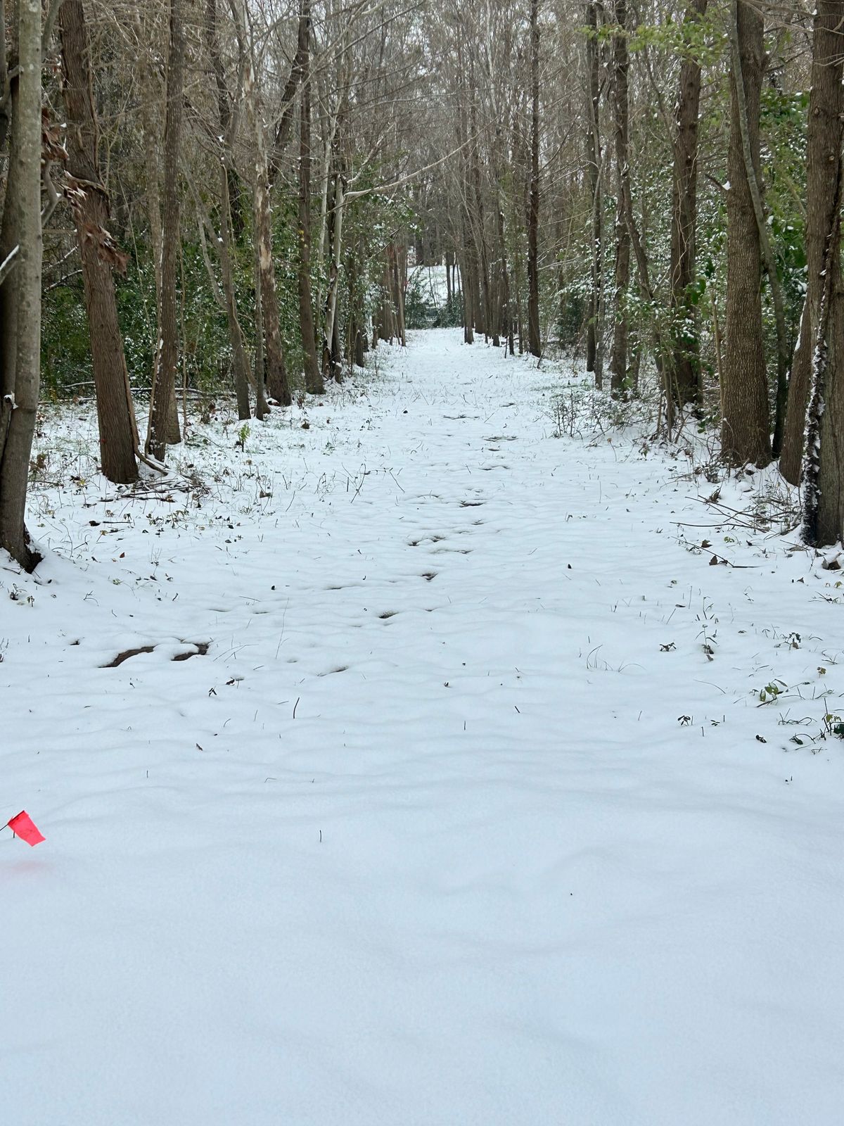 Hole 4 Tee