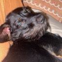 User avatar image